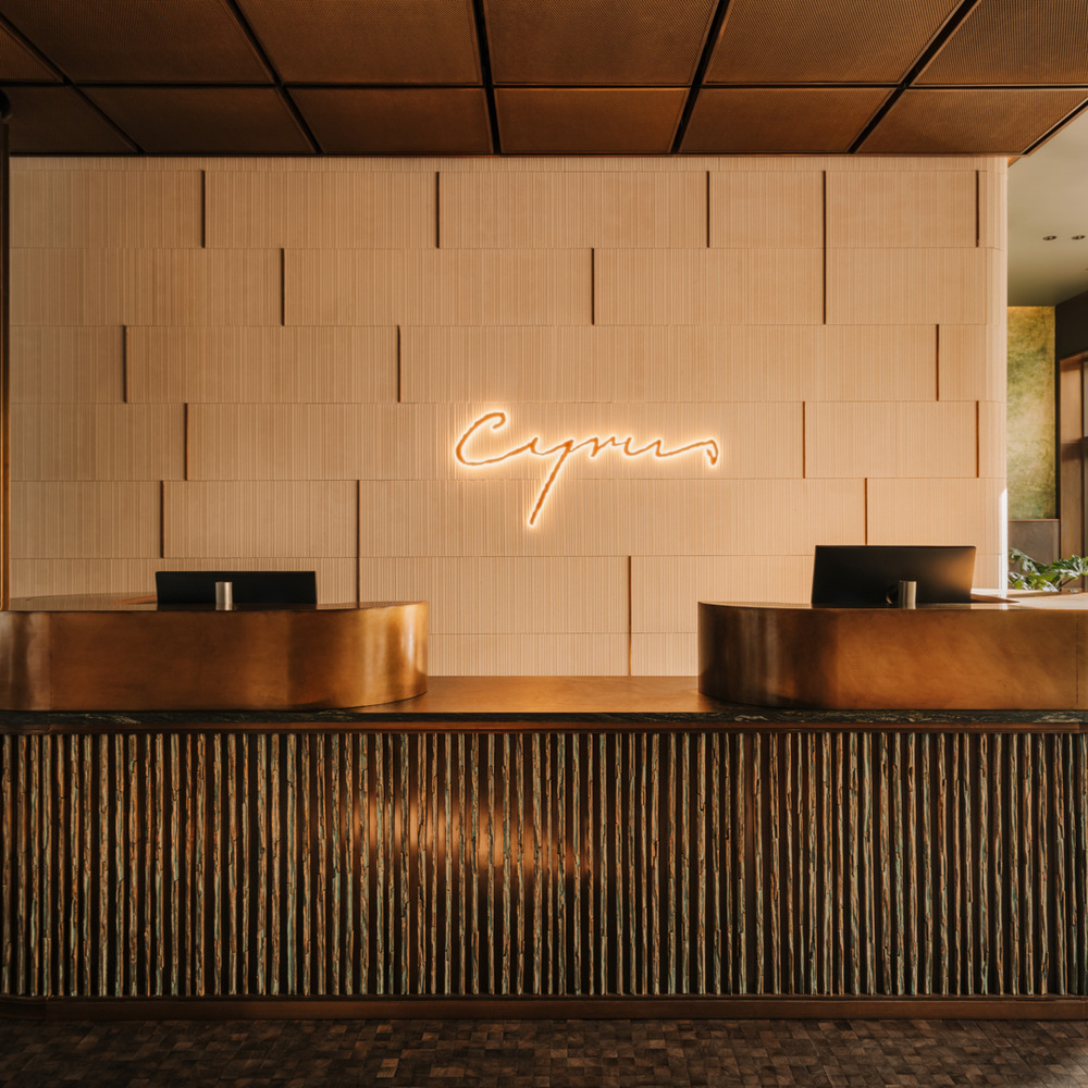 Nowoczesna recepcja hotelu Cyprus z miedzianym blatem i ścianą z paneli, przytulne światło i duże okna.