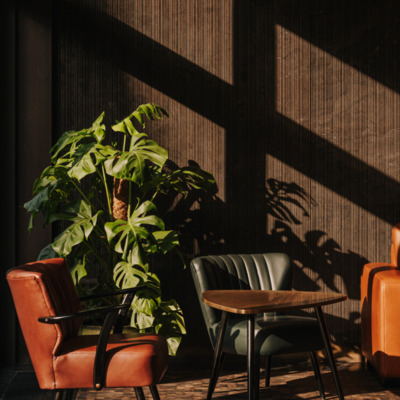 Słoneczna strefa wypoczynkowa z koniakowymi i zielonymi skórzanymi fotelami oraz stolikiem z brązu, stojącym przy roślinie na tle ciemnej ściany.