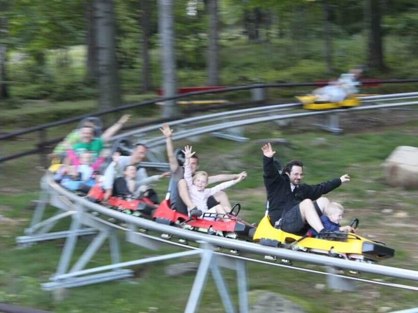Guests enjoying a thrilling family ride on an alpine coaster winding through a forest setting.