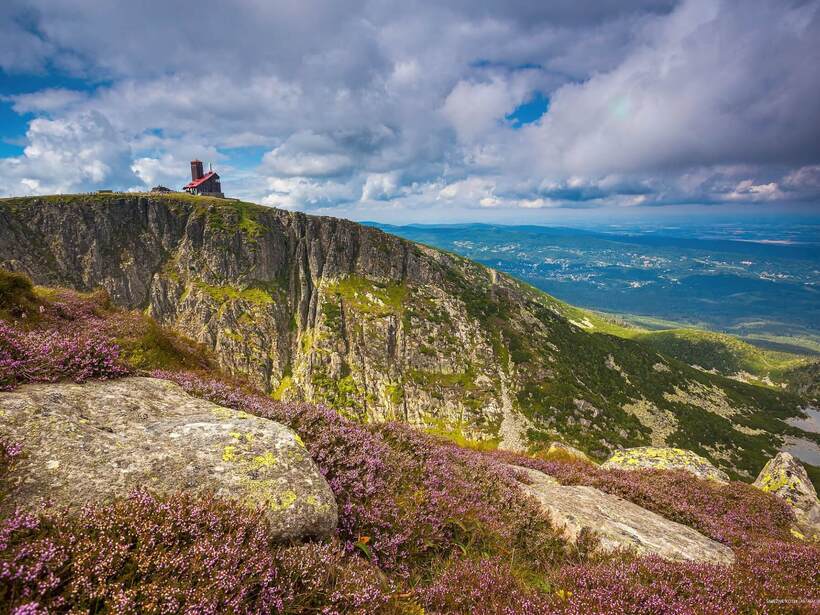 Berghütte mit rotem Dach auf einer Klippe, umgeben von blühendem lila Heidekraut und weitem Talblick.