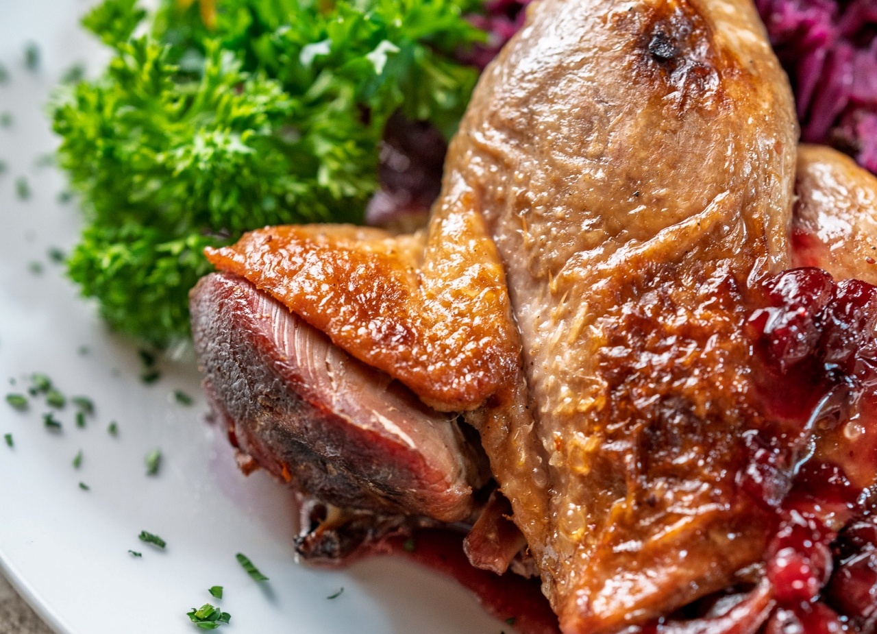 Pieczona kaczka z chrupiącą skórką, żurawinowym sosem, czerwoną kapustą i natką pietruszki na eleganckim talerzu.