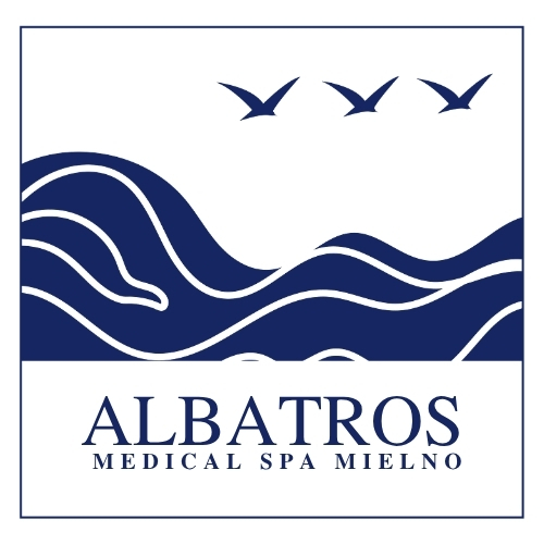 Logo Albatros Medical Spa Mielno: stylizowane fale morskie i trzy szybujące mewy, nadmorskie spa