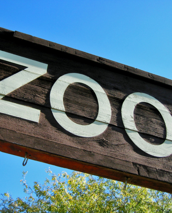 Drewniana tablica z białym napisem 'ZOO' na tle niebieskiego nieba i zielonych drzew