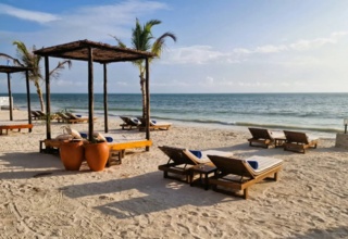 Beachfront lounge area with wooden sunbeds and canopy beds shaded by palm trees, overlooking calm ocean waters under clear skies