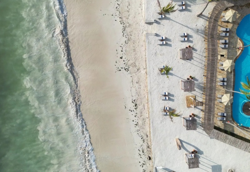 Aerial view of a beachfront hotel with a curved pool, sun loungers, umbrellas, shaded cabanas, and palm trees near the ocean shore