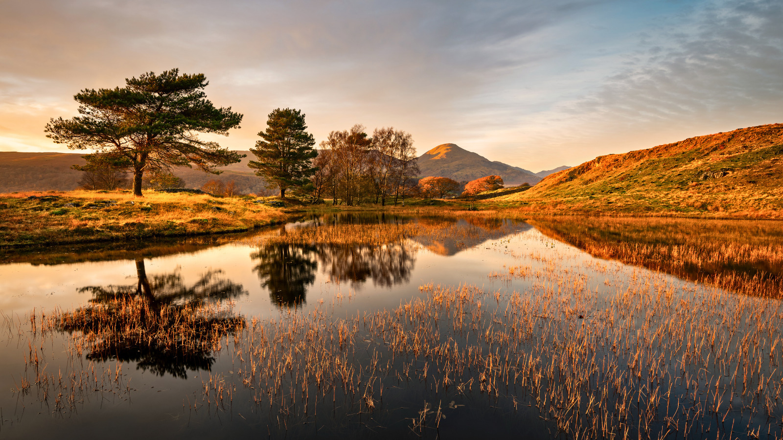 November monthly blog