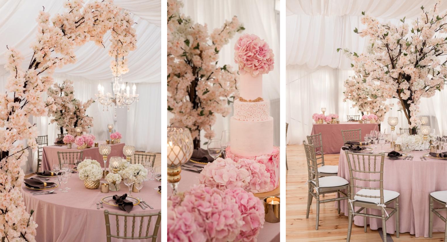 Wedding in a tent