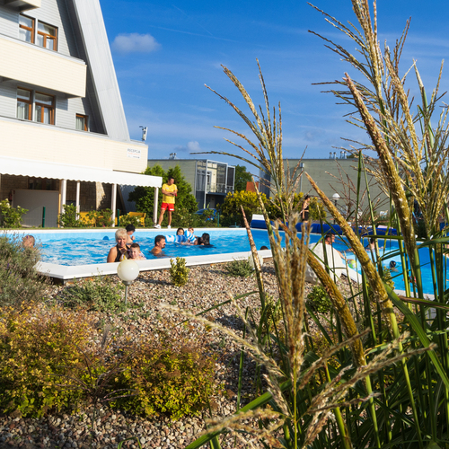 Hotel pool with families swimming, a lifeguard on the terrace, sunny surroundings with decorative grasses.