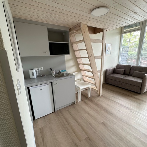 Bright, compact room with a kitchenette, fridge, microwave, sofa and a wooden ladder leading to a mezzanine.
