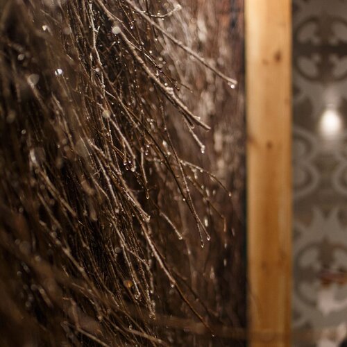 Thin twigs with water droplets by a wooden frame and a patterned glass partition, a moody spa decoration
