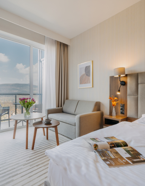 Hotel room with mountain view