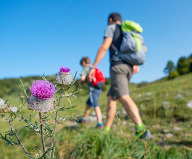 father with child on a mountain hike