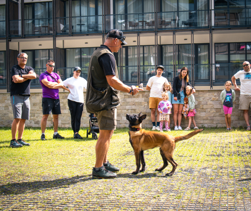 Mężczyzna szkoli psa