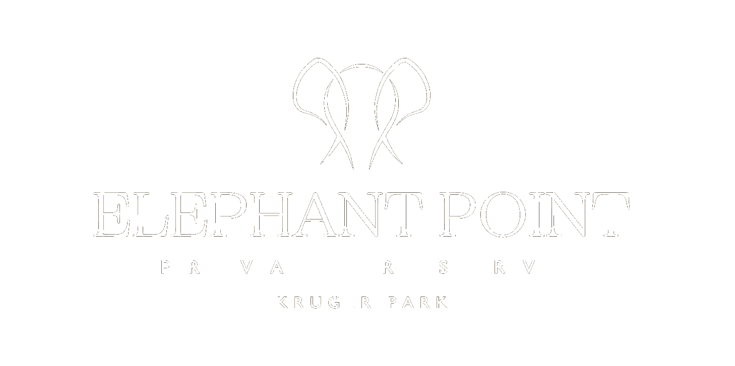 Elephant Point - Homepage