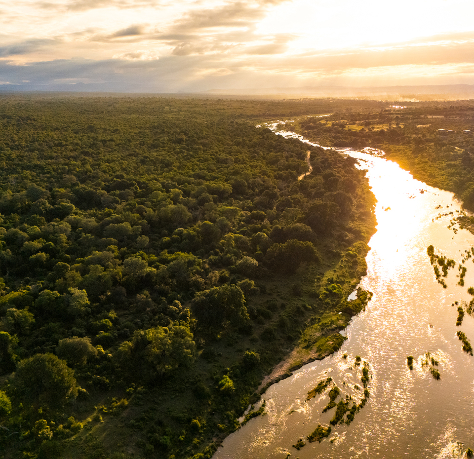 ELEPHANT POINT RÉSERVE PRIVÉE où le temps s'arrête une adresse rare à la frontière du Kruger
