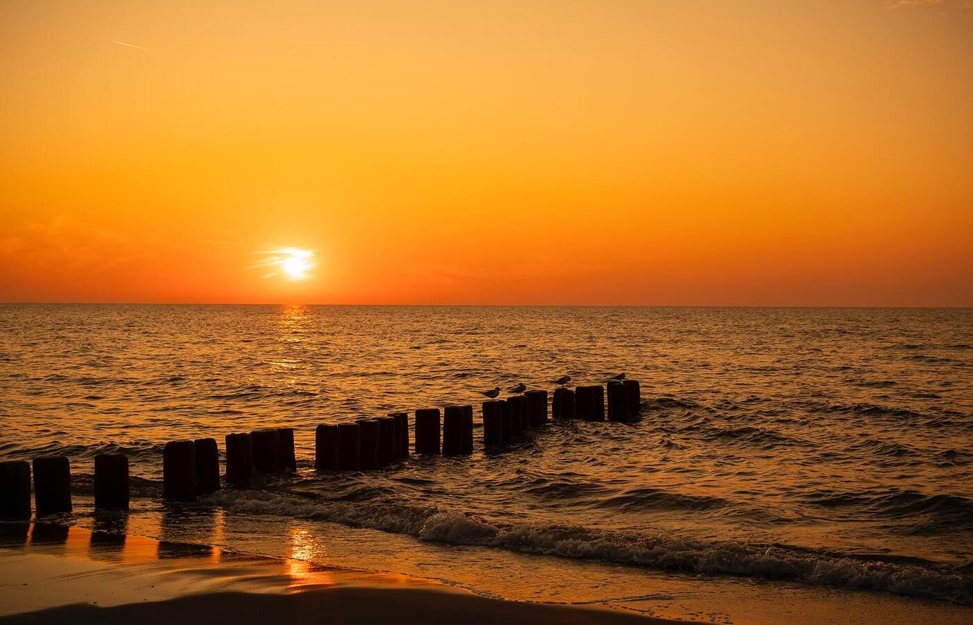 Złoty zachód słońca nad spokojnym morzem, drewniany falochron z mewami i fale muskające piaszczystą plażę.