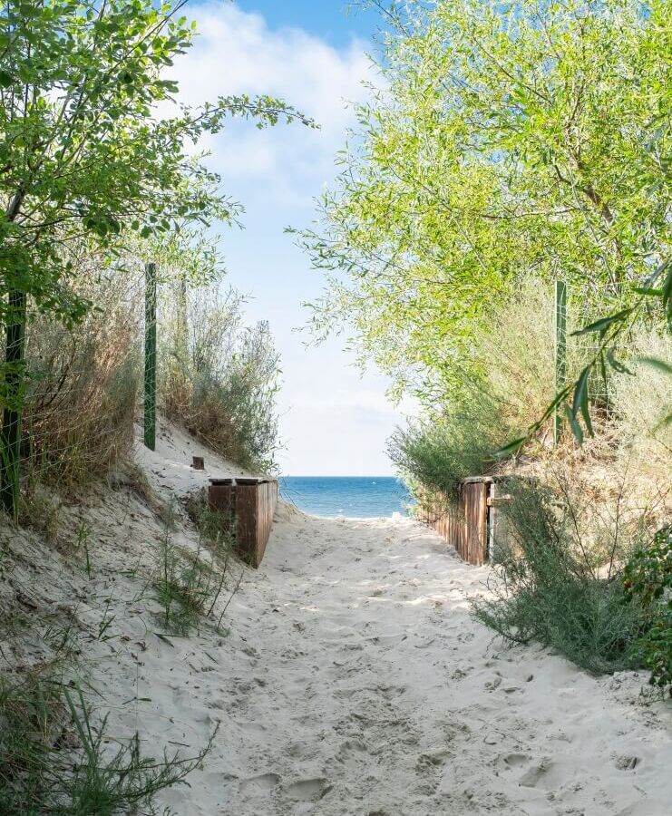 Piaszczysta ścieżka przez wydmy, otoczona zielonymi krzewami, prowadzi do spokojnego, błękitnego morza i drewnianych barierek.