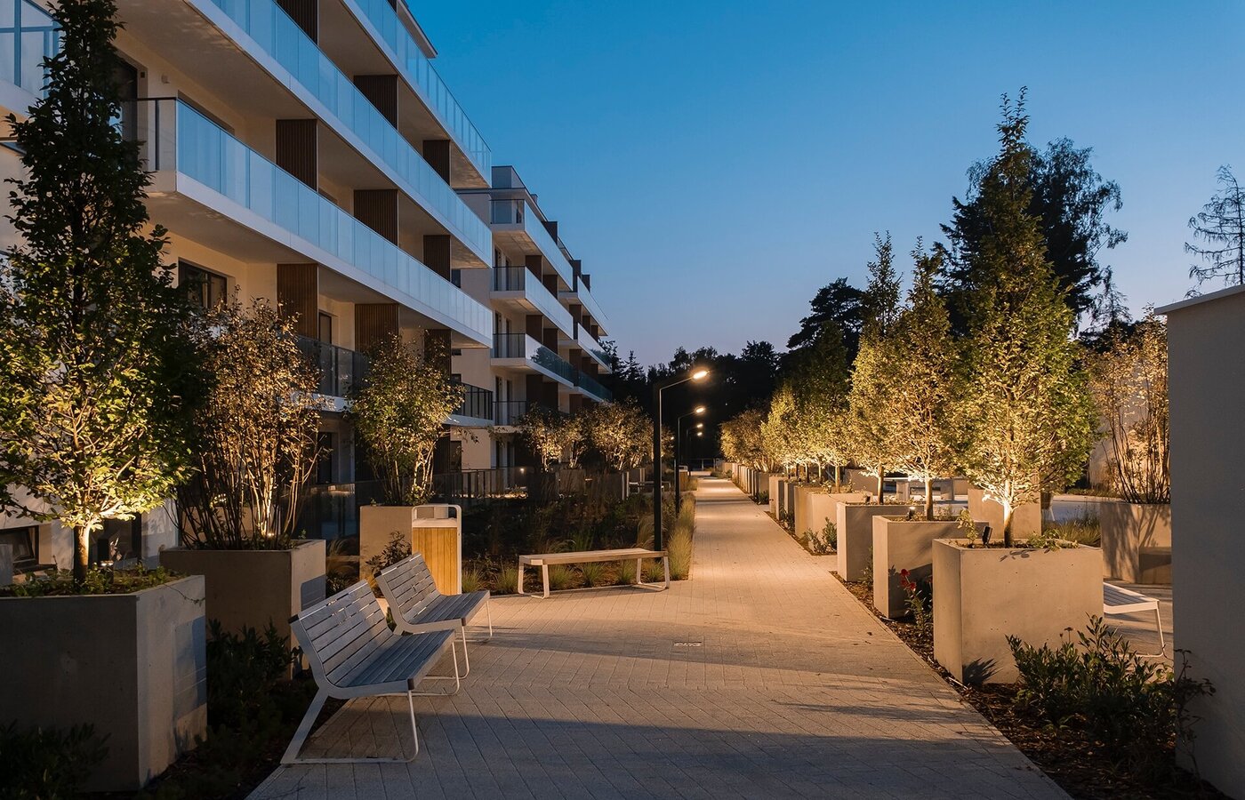 Nowoczesny hotel z przeszklonymi balkonami przy oświetlonym, obsadzonym drzewami deptaku z ławkami.