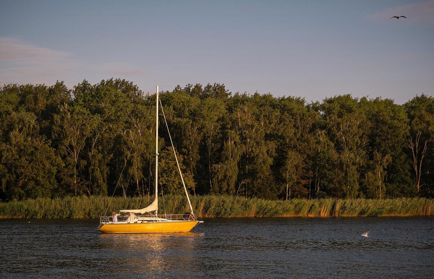 Żółta żaglówka z podwiniętymi żaglami na spokojnej rzece o złotej porze dnia, zalesiony brzeg i mewy na niebie