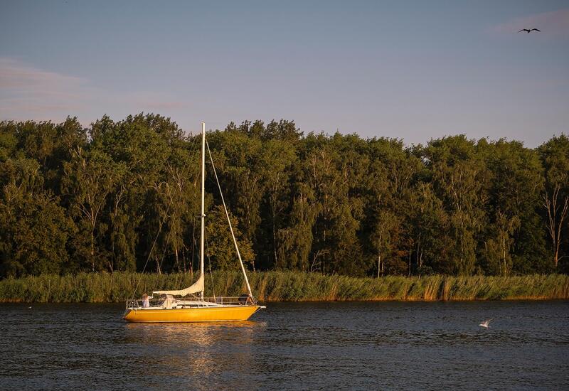 Żółty żaglowiec na spokojnej wodzie o złotej godzinie, zadrzewiona linia brzegowa i trzciny, mewa w locie