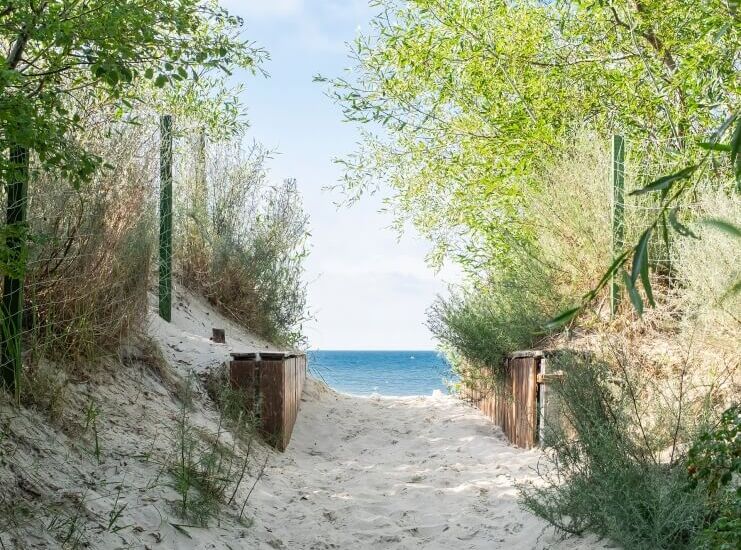 Piaszczysta ścieżka przez wydmy, otoczona zielonymi krzewami, prowadzi do spokojnego, błękitnego morza i drewnianych barierek.