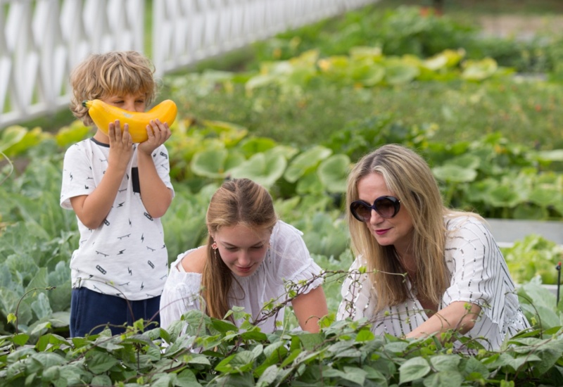Rodzina zbiera warzywa w podwyższonej grządce, mama i nastolatka oglądają zieleninę, a chłopiec zabawnie trzyma żółtą cukinię