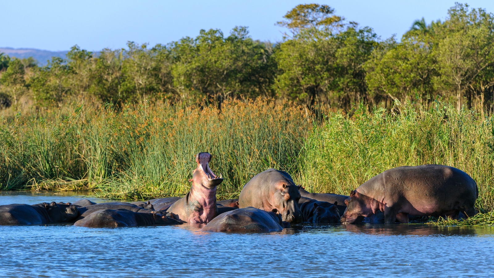 November monthly blog