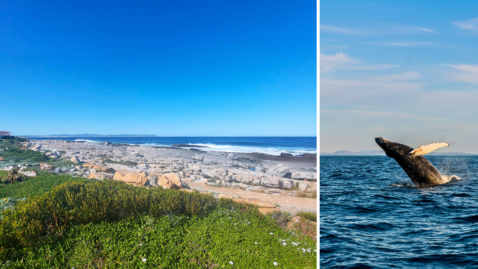 December monthly blog