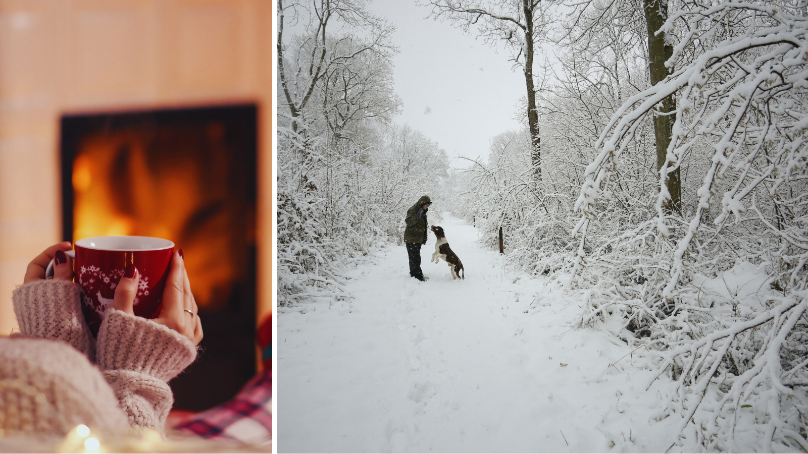 November monthly blog