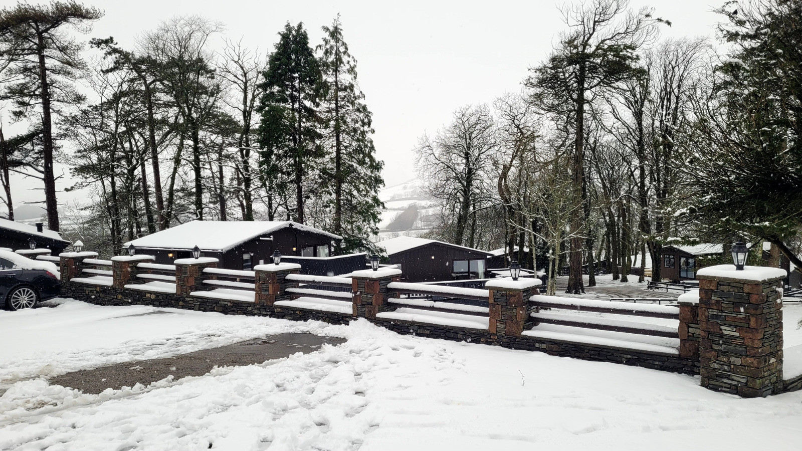 November monthly blog