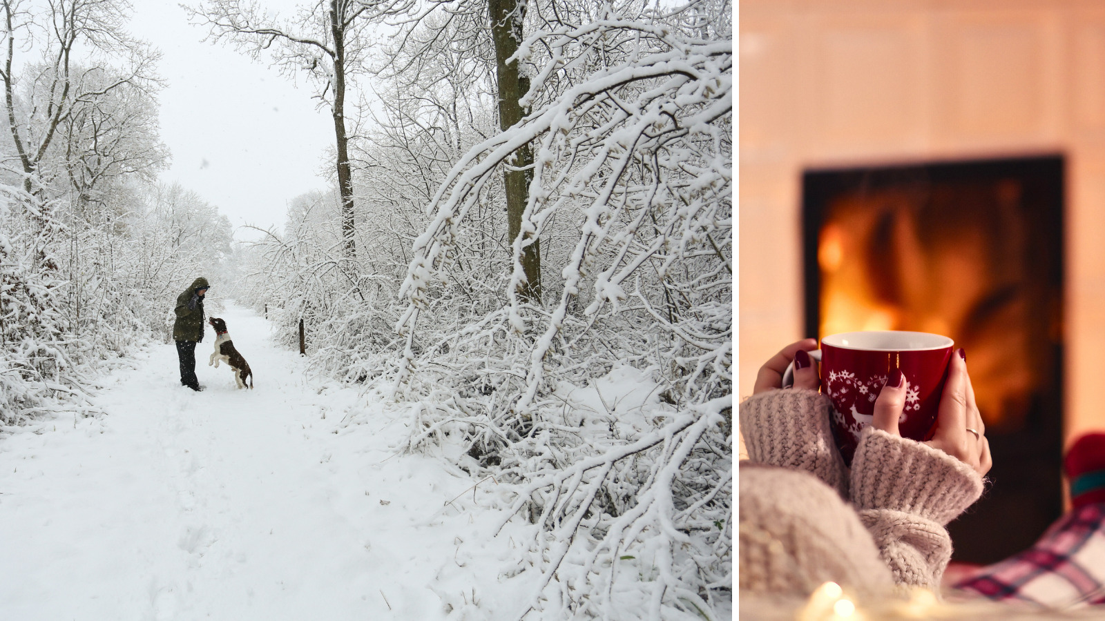 December monthly blog