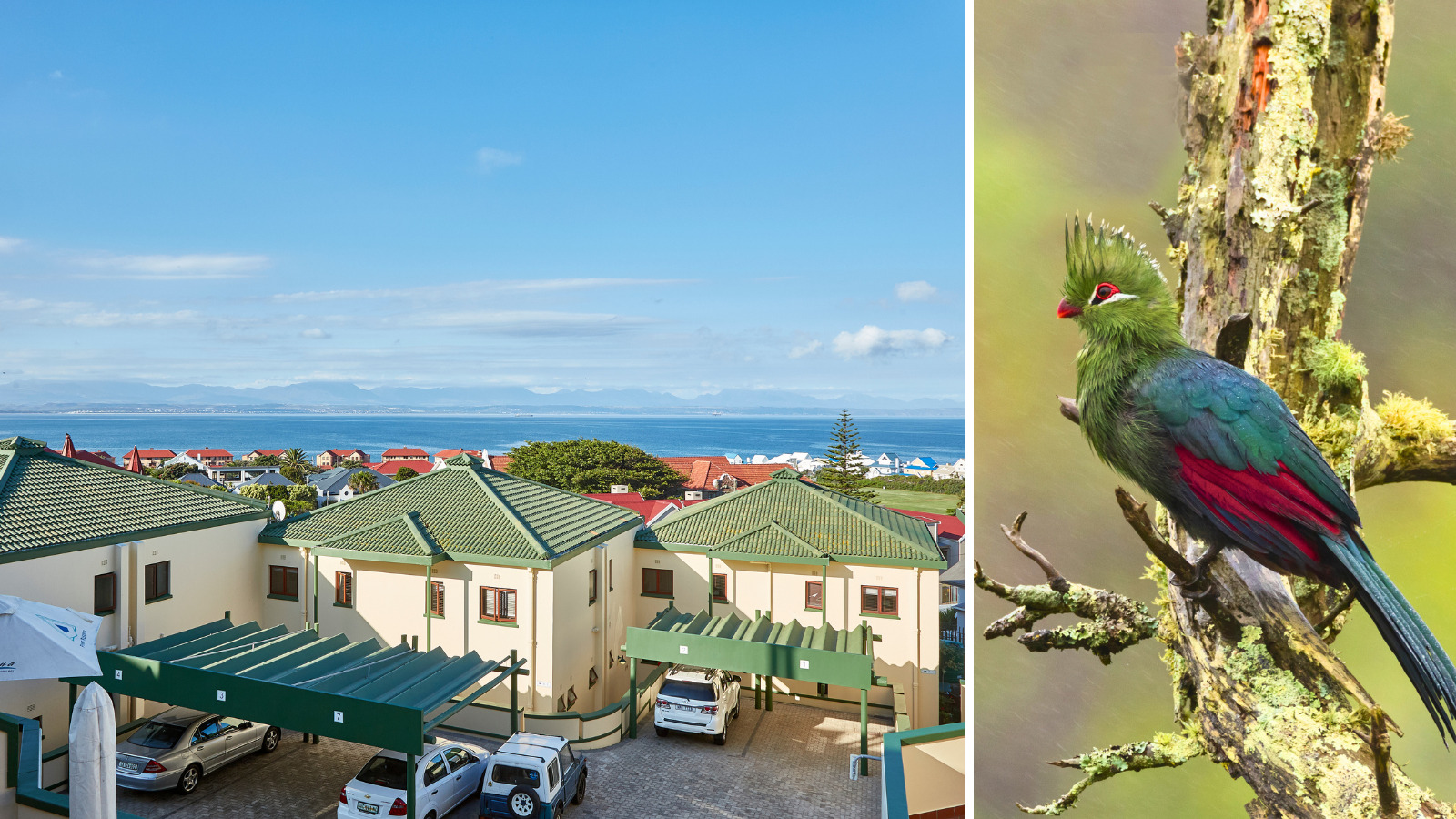 December monthly blog