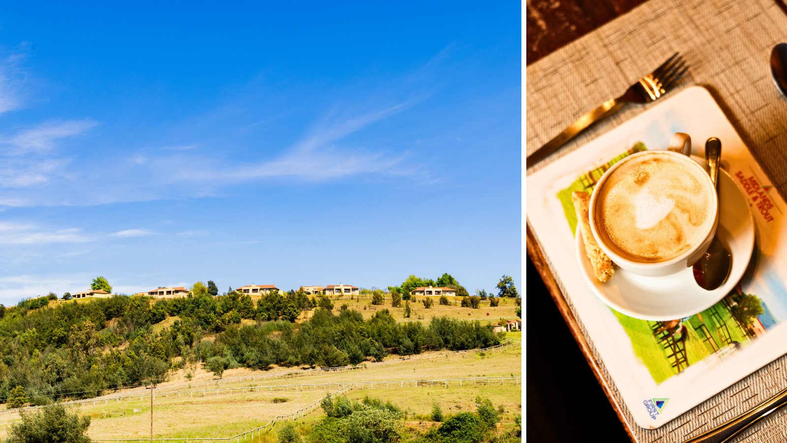 November monthly blog