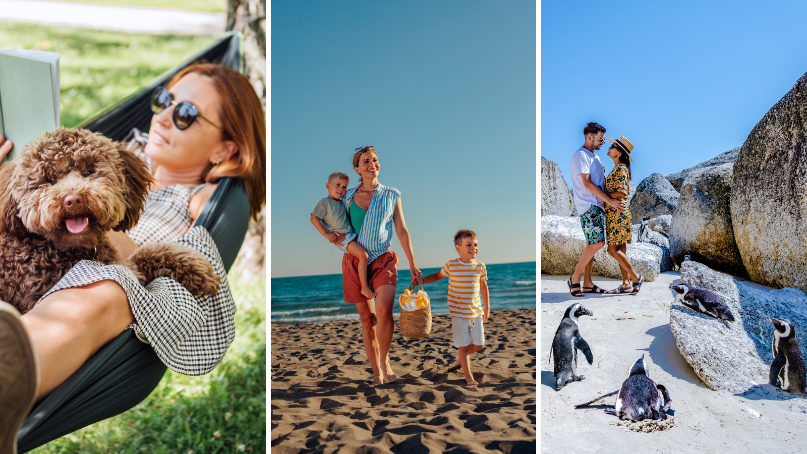 December monthly blog