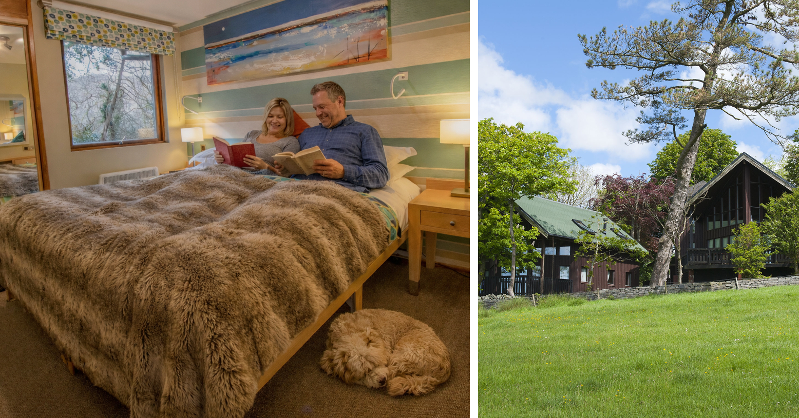  Feb 2026 monthly blog 