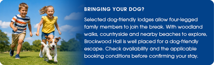 Bringing Your Dog