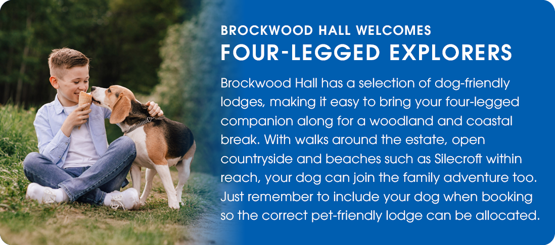 Brockwood Hall welcomes four-legged explorers
