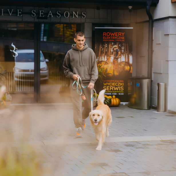 Młody mężczyzna w dresie wychodzi z hotelu Five Seasons na spacer z wesołym golden retrieverem na smyczy.