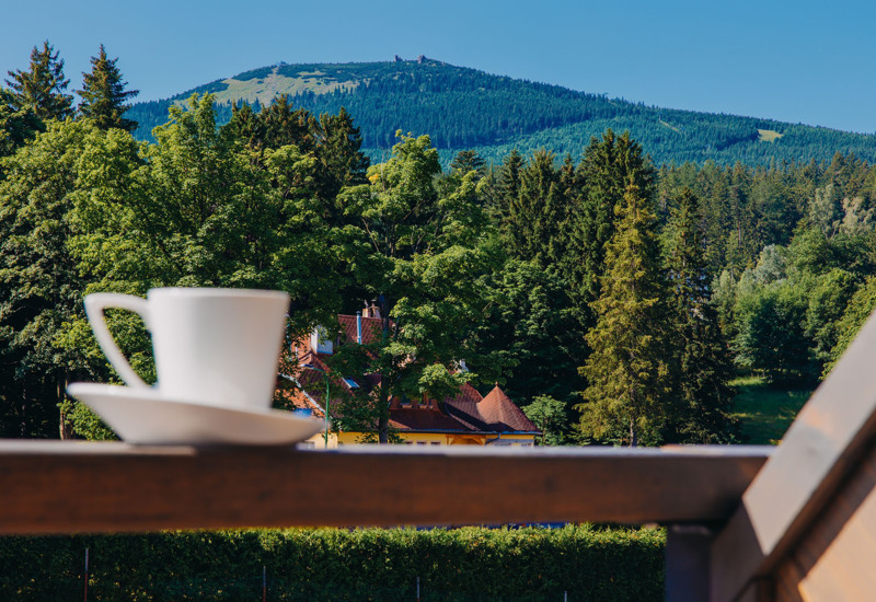 Morning coffee on a wooden balcony overlooking lush forest and distant mountain scenery