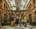 Guided museum tour beneath a suspended WWII fighter plane and life-size elephant in a grand arched atrium
