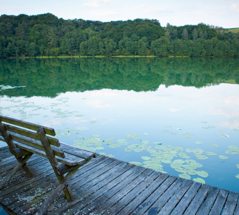 Wooden pier with two benches over a lake with water lilies, surrounded by forest and rolling hills
