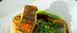 restauracja młyn