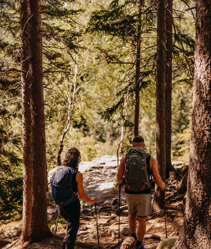 Aktywny wypoczynek w Karkonoszach – górskie szlaki i wędrówki w okolicy Green Mountain w Karpaczu.