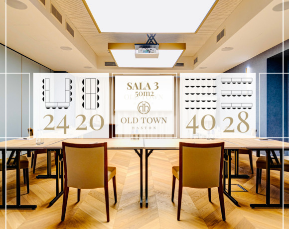 Przykład ustawienia sali konferencyjnej w układzie teatralnym, przygotowanej na kongres lub konferen