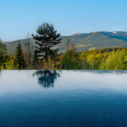 Nieskończony basen z odbiciem drzew i panoramą gór otoczony zielenią i lasem pod błękitnym niebem