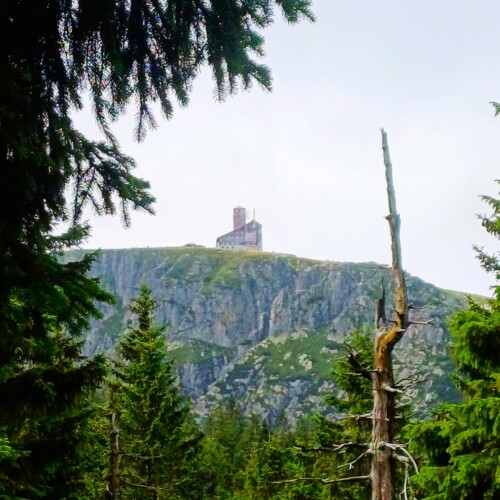 Steinhaus auf felsiger Bergspitze, umgeben von dichtem Nadelwald