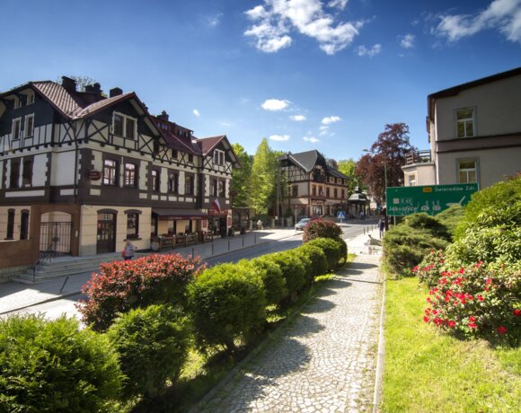Charming alpine-style guesthouse on a street with lush shrubs and clear blue sky, perfect for a peaceful stay.