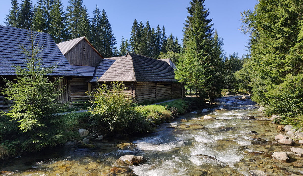 Riverside rustic wooden cottages nestled among pines beside a clear mountain stream, ideal for peaceful nature retreats.