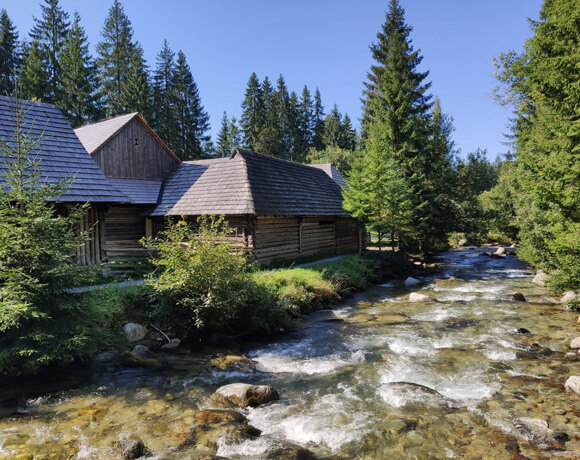 Riverside rustic wooden cottages nestled among pines beside a clear mountain stream, ideal for peaceful nature retreats.