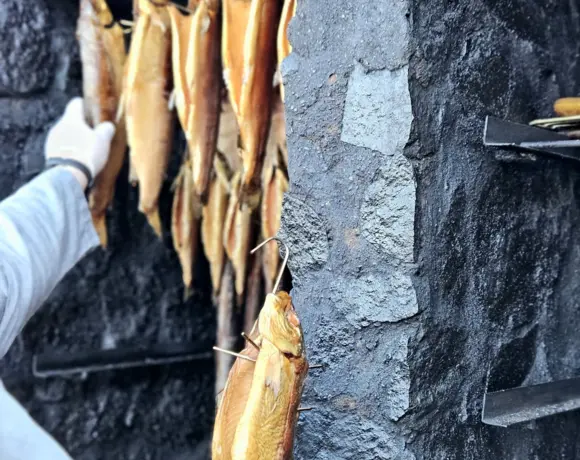 Wędzone ryby wyciągane z wędzarni z kamienia